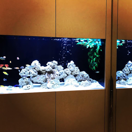 Complete Aquariums - Visual