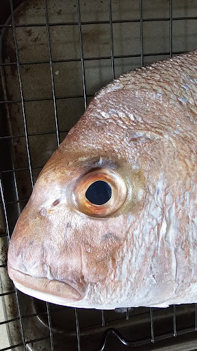 Thornbury Fish Supply - Thumbnail