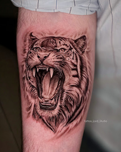 Lion tattoo,  get best tattoo, tattoo shop, tattoo artist, tattoo studio, tattoo shop near me, ta…