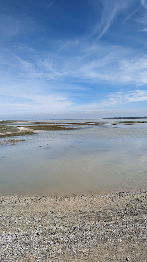 Mayor of Cayeux-sur-Mer - Thumbnail