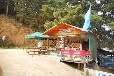 Photos of Linda Playa