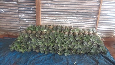 Photos of O.K. Agri Lanka (Pvt) Ltd.