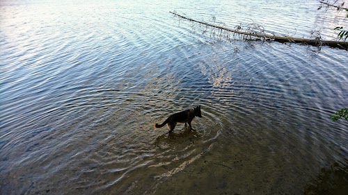 Pühajärve Ääres Grill Koht