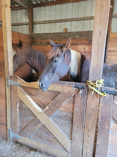 KLos Ranch - Visual
