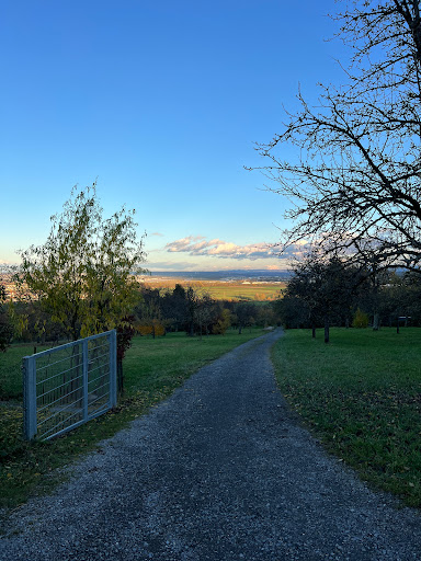 Aussichtspunkt zum Flughafen Stuttgart