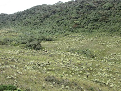 Photos of P&aacute;ramo De Las Delicias
