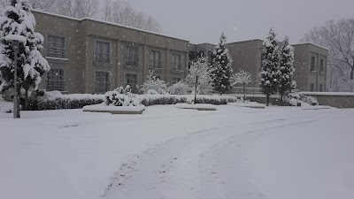 Photos of Eti Bakir Samsun