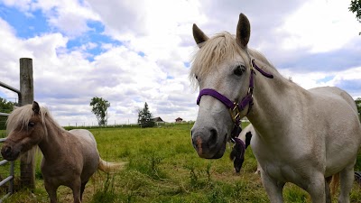 Photos of The Petting Farm at Domino's Farms
