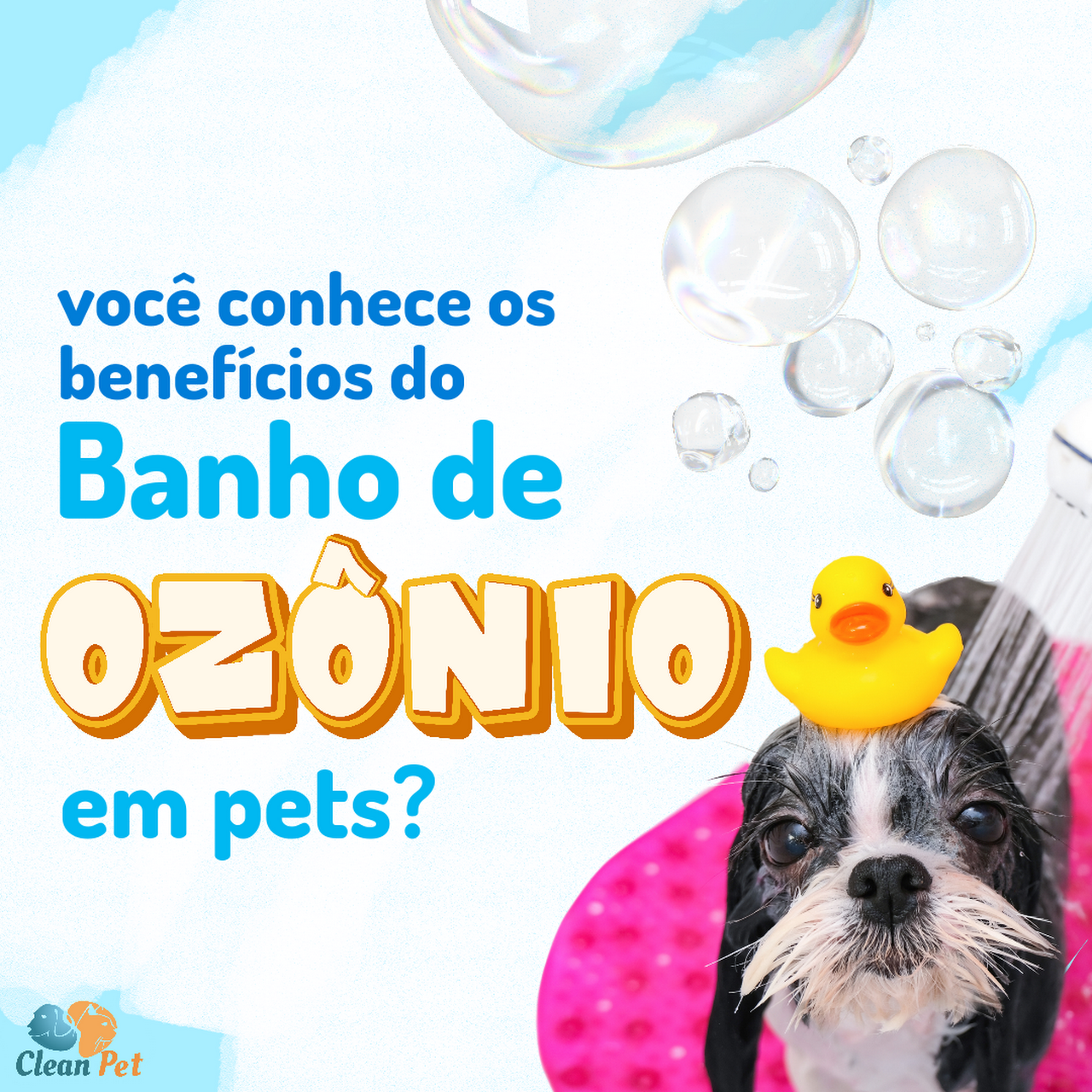 Banho e Tosa Pet Perdizes - Santé Centro Veterinario Fisioterapia