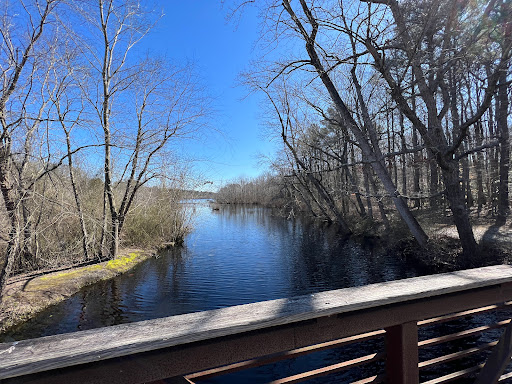 Killens Pond State Park Campground Entrance - Thumbnail