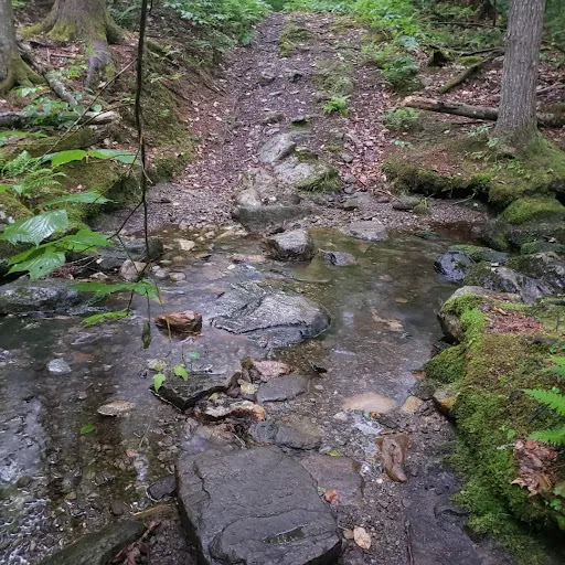 The Canty Trail - Thumbnail