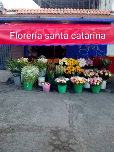 Florería santa catarina