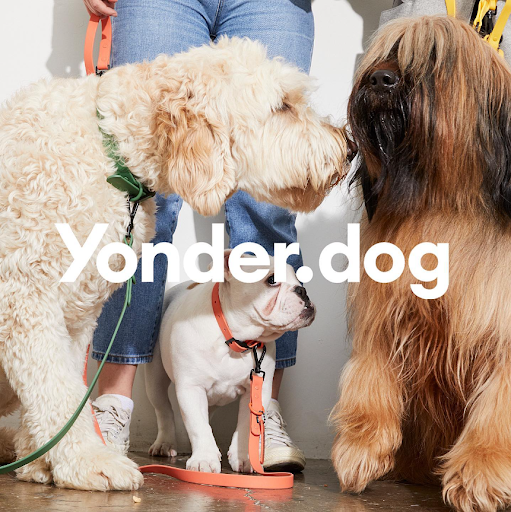 Yonder Dog - Visual