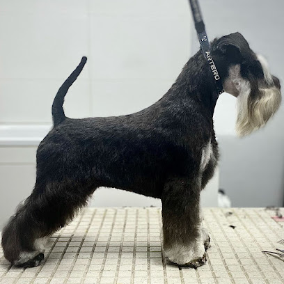 Peluquería Canina Almudena del Valle