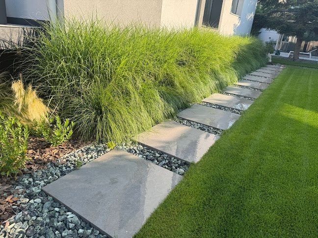 Amenajari Gradini Bucuresti-Ilfov