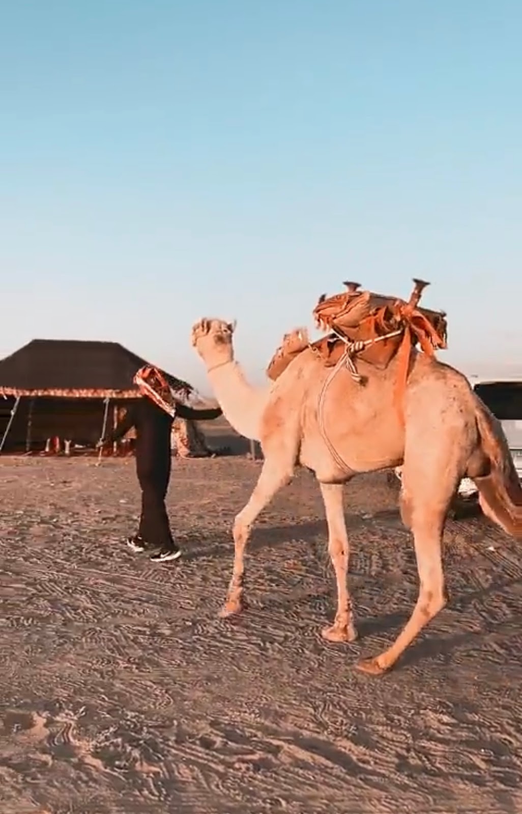 مرشد سياحي برابغ ابو رواد - صورة 3