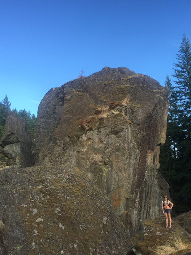 Devil's Rock Garden - Visual