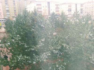 Photos of Şht. Erdal Pişkin Parkı