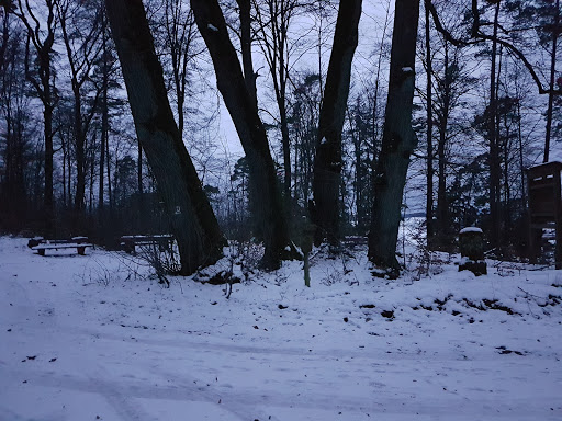 Fünf Linden - Visual