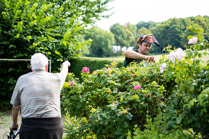 Creusen Gartengestaltung Baumschule Naturstein