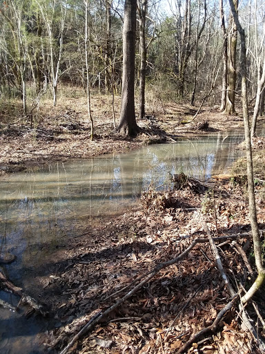 Mississippi Creek - Thumbnail