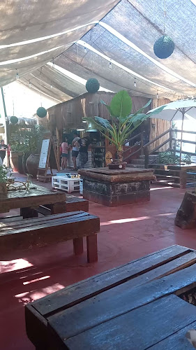 Opiniones de Cervecería Guayacán en Vicuña - Pub