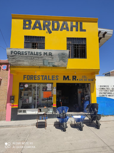 FORESTALES MR - Visual