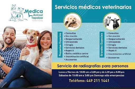 Medica Animal Tapalpa Veterinaria - Thumbnail