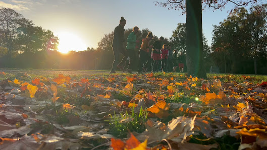 Original Bootcamp - Outdoor Fitness | Hasenheide Columbiadamm, 10965 Berlin, Deutschland