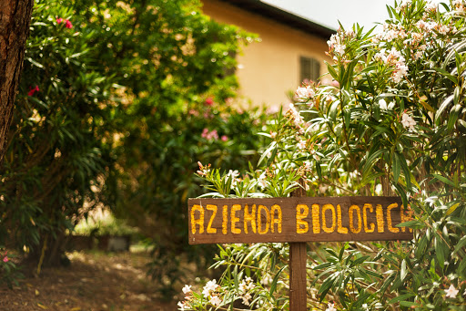 Camping Podere Mulinaccio