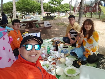 Photos of 모항갯벌해수욕장