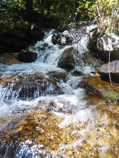 Crazy Creek Campground