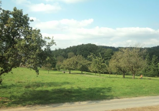 Zum Urberg Ferienwohnungen und Boardinghouses - Thumbnail