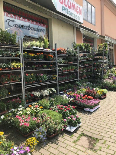 Blumen Green Day