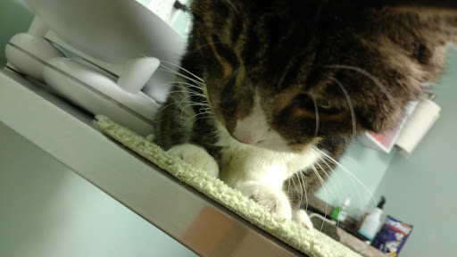 Brackett West Veterinary Clinic - Thumbnail