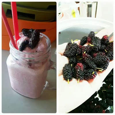 Photos of U-like Ice Cream and Bakery ຮ້ານຕົ້ນເຕີຍ