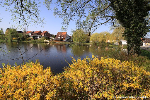 START · Baumlehrpfad um den Jues - Thumbnail