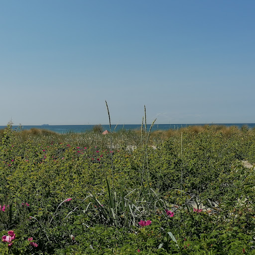 IFA Strandbar Düne 26 - Thumbnail