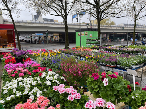 Blumenhandel - Visual
