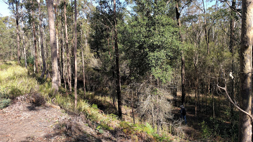 Werakata National Park - Thumbnail