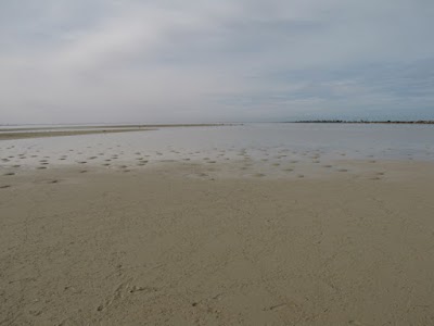 Photos of Farwa Island