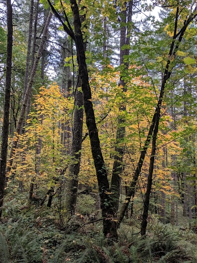 Bowers Rock State Park