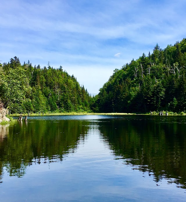 Parc d'environnement naturel de Sutton