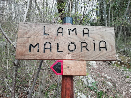 Maloria - Thumbnail