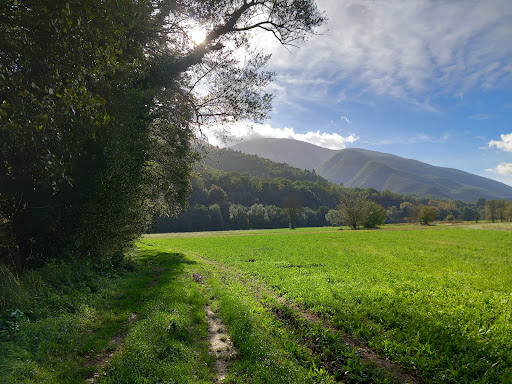 Comune di Sant'Anatolia di Narco