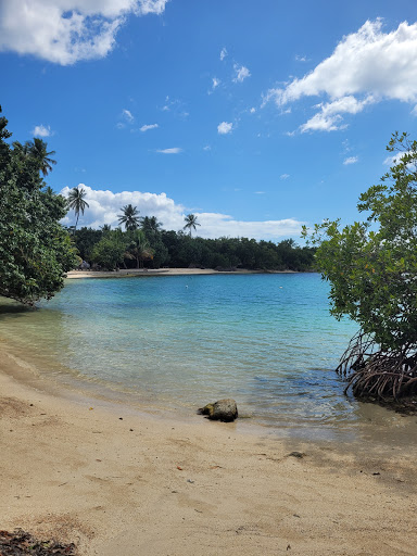 Playa Ostiones Logo
