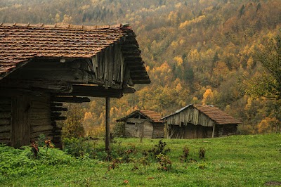 Küre Kamp alanı