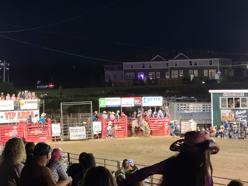Hamel Rodeo & Bull Ridin' Bonanza - Thumbnail