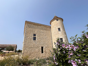 Photo n°64 de Domaine Lassalle Saint-Créac à Saint-Créac (Lieu de mariage)