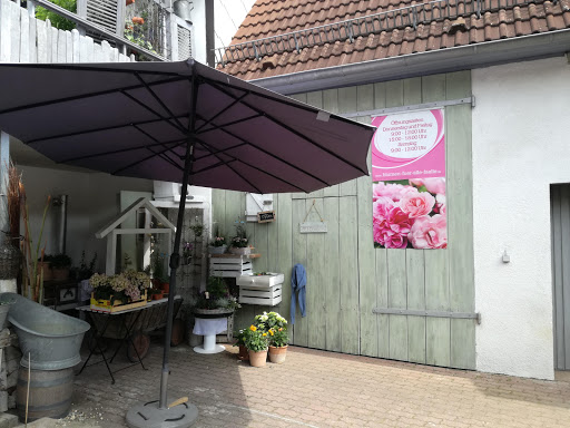 Annika Schubert - Blumen für alle Fälle